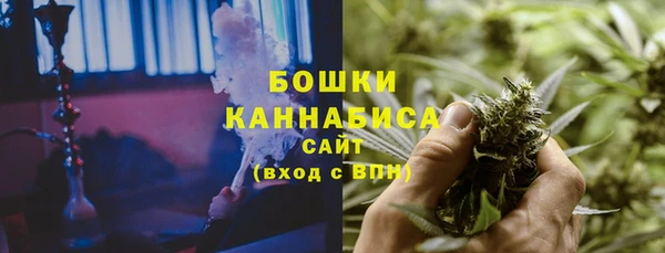 ECSTASY Горняк