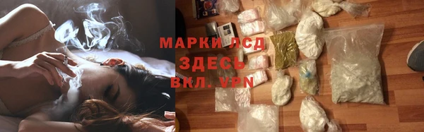 ECSTASY Горняк