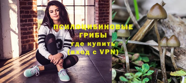 тгк Инсар