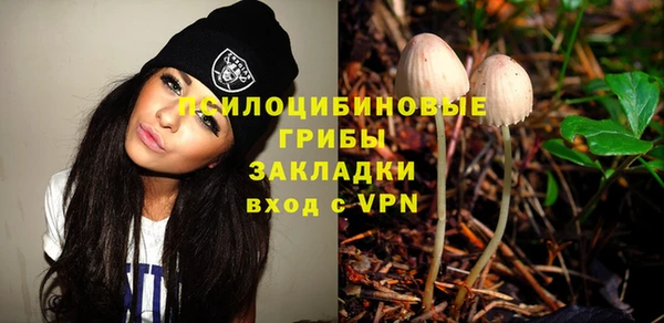 МДПВ Горнозаводск