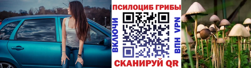 МЕГА вход  наркота  мориарти Telegram  Галлюциногенные грибы Magic Shrooms  Сергач 